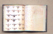 Click for a close up view